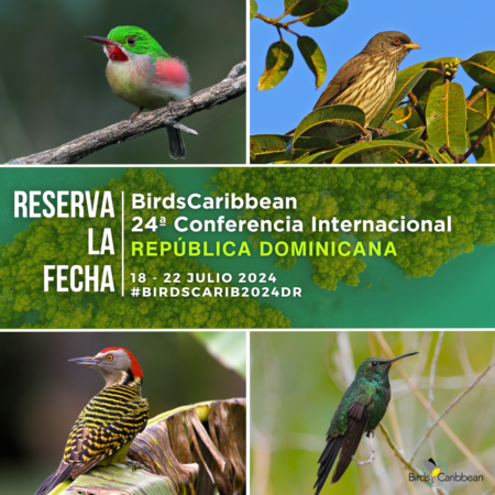 ¡Marque su calendario y haga planes para asistir! Aves destacadas: Broad-billed Tody por Dax Roman; Palmchat; Hispaniolan Woodpecker por Jose M Pantaleon; Hispaniolan Emerald por Dax Roman E.