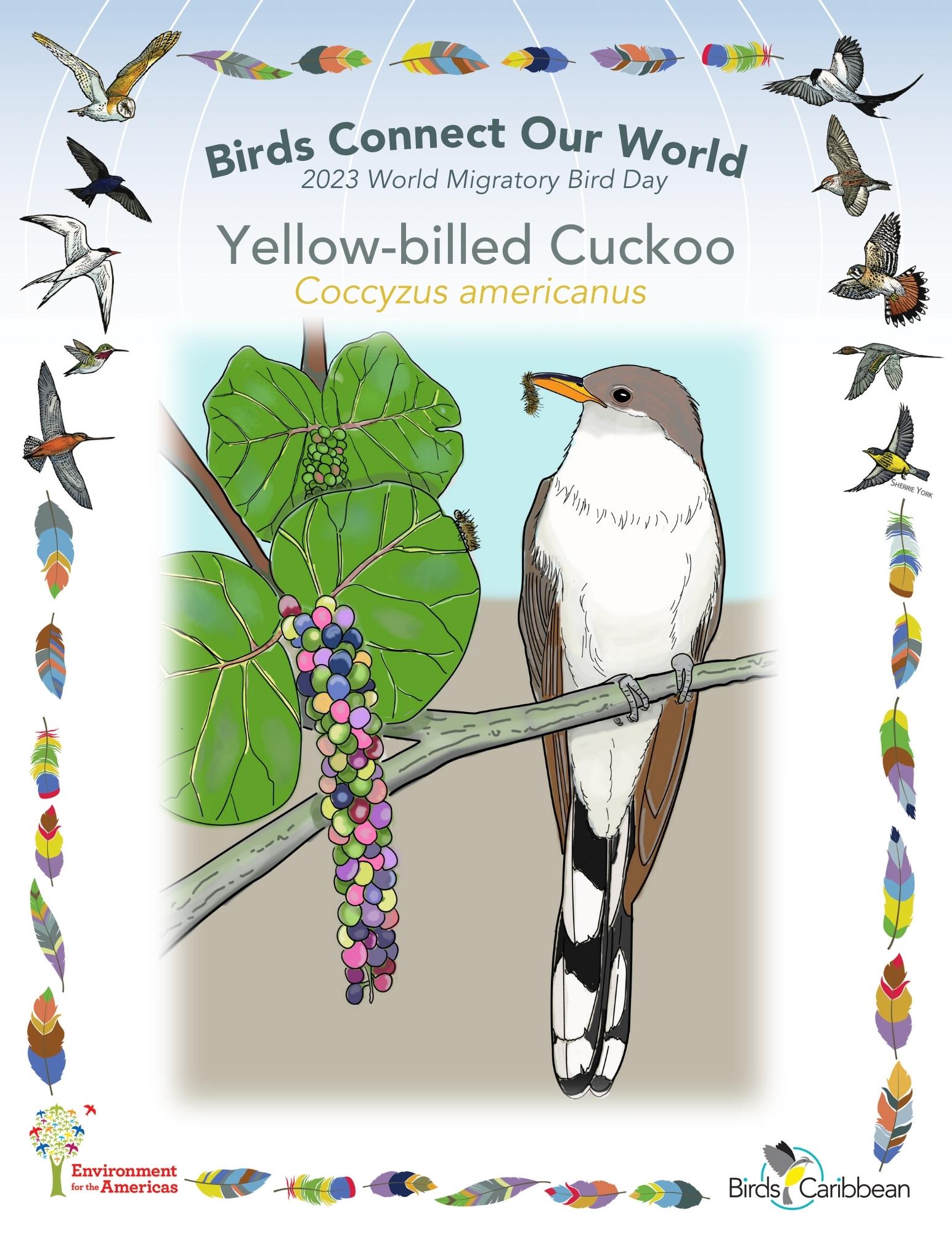 Threatened Birds – BirdsCaribbean
