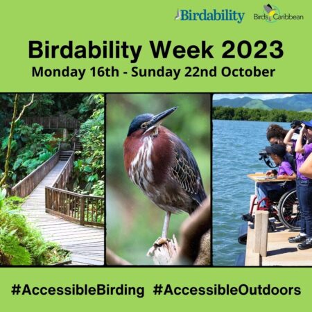Top left corner are Birdability and BirdsCaribbean logo, bright green background with black text at top "Birdability Week 2023", subheading "Monday 16th- Sunday 22nd October", in the middle are tree photos of a boardwalk in a rainforest, Green Heron and children birding one of which is in a wheel chair and is being assisted by an adult to look through a pair of binoculars, at the bottom are hashtags "Accessible Birding" and "Accessible Outdoors" 