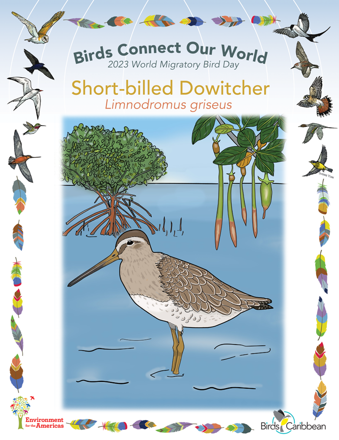 News – BirdsCaribbean