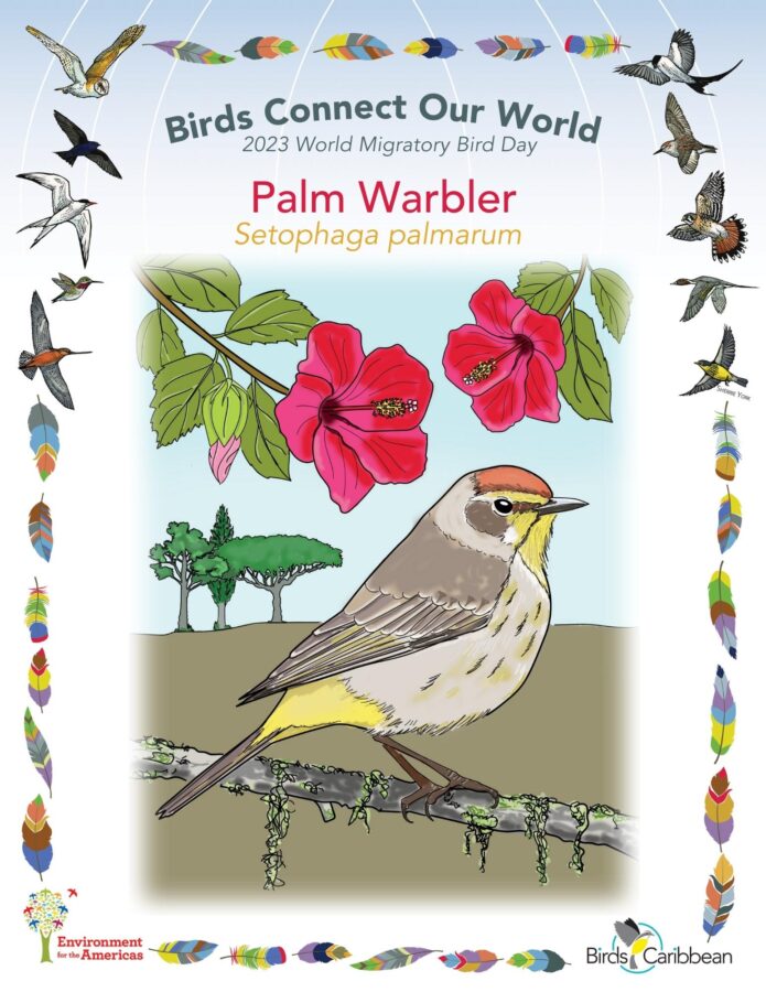 https://www.birdscaribbean.org/wp-content/uploads/2023/10/Day67_Palm-Warbler-lettersize-695x900.jpg