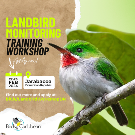 BirdsCaribbean News – BirdsCaribbean