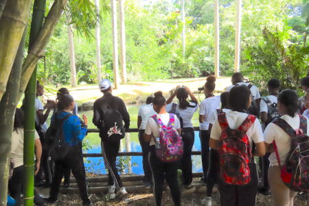 Group of students birdwatching next to a man-made lagoon.