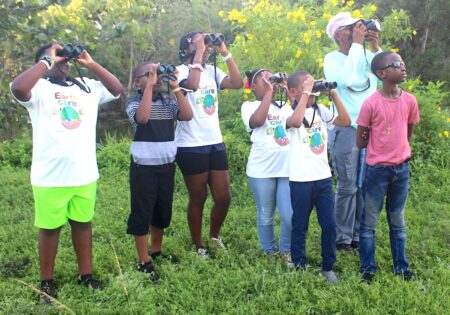 Group of children stranding in a line watching birds through binoculars. 