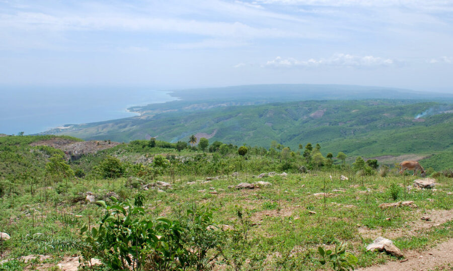 Photo of a deforested hilltop on an island. 