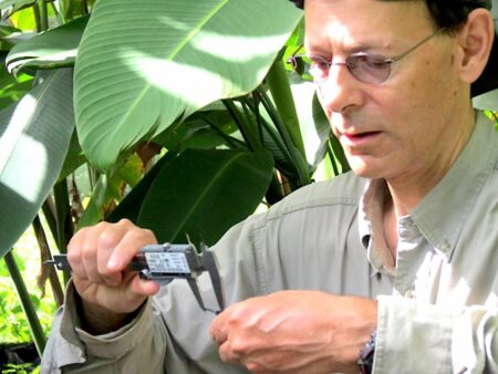 Photo of a man measuring a hummingbird's beak with a vernier caliper.