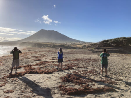 Group on a beach bird watching