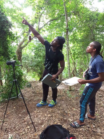 Conservation – BirdsCaribbean