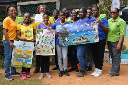 Students with posters of seabirds and endemic birds of Jamaica