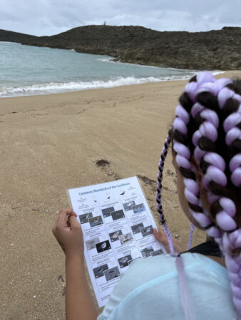 Girl using a Shorebird ID card