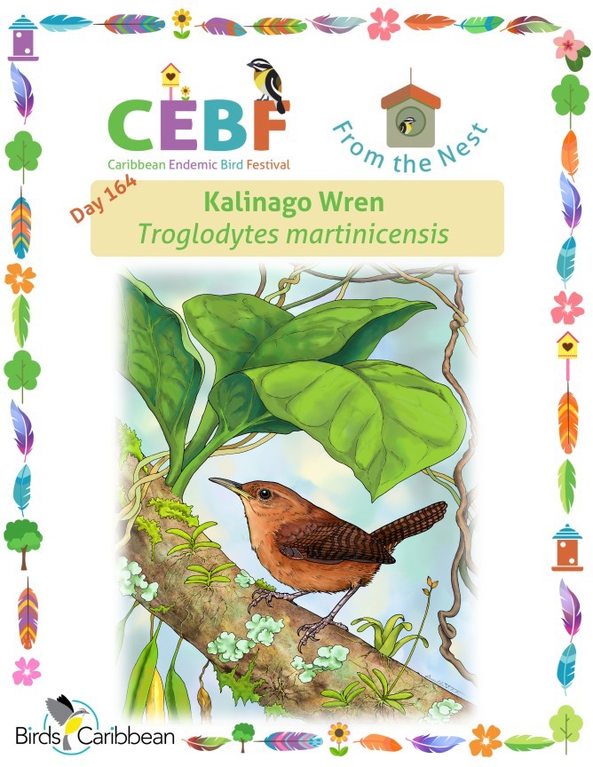 From the Nest – Day 164