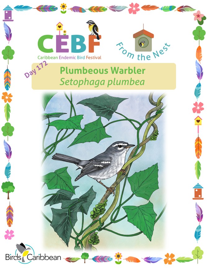 From the Nest – Day 172