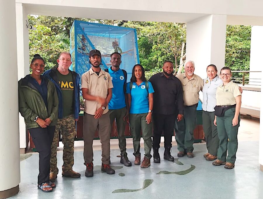 Group photos of nine people all standing in a line and facing the camera. 