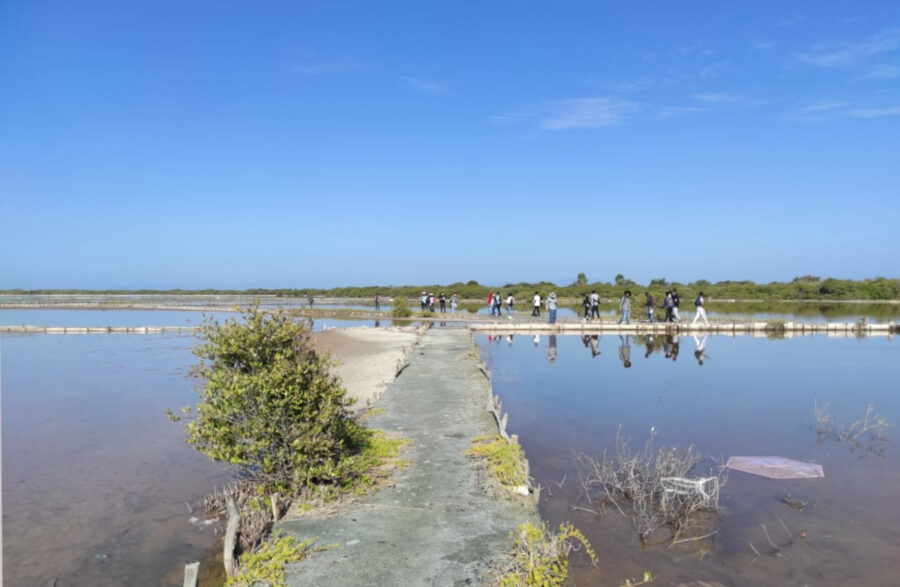 Birders walk through a salina in the Dominican Republic