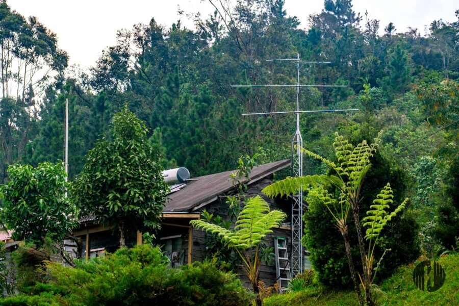 Motus station at Holywell Park in the Blue and John Crow Mountains National Park, Jamaica