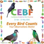 Our Biggest “Neighborhood Watch” Yet: What to Expect at the CEBF 2026