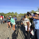 Getting to grips with shorebird ID in Puerto Rico. (Photo by Lisa Sorenson)