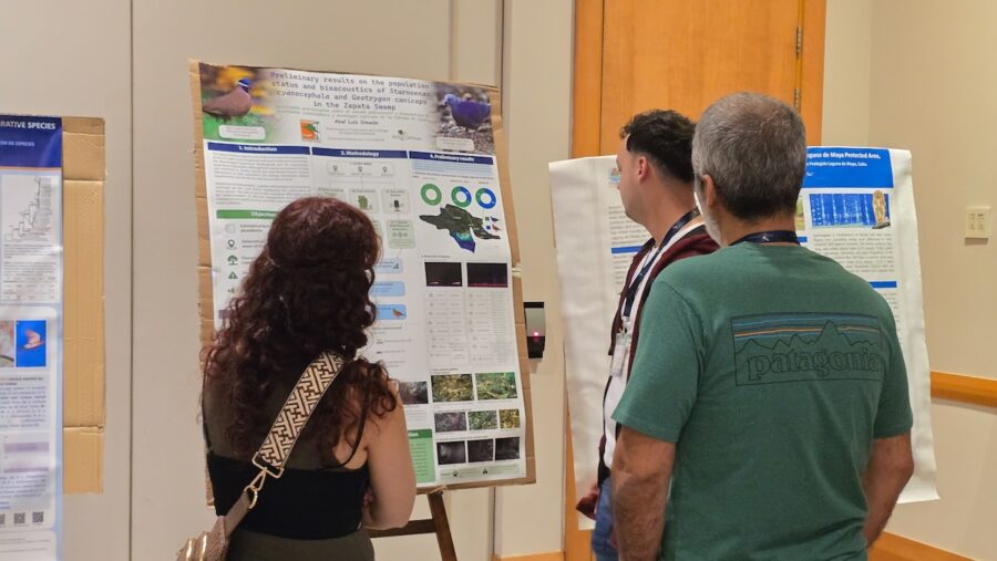 Photo of three people (one woman and two men) looking at a scientific poster. Their backs are to the camera.
