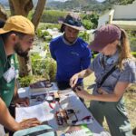Trainer Holly Garrod shows Joshel Wilson and Simone Erroi how to measure morphometrics on a Bananaquit. Photo: Maya Wilson