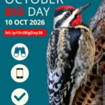 Big Day, Bigger Impact: Get Ready for October Big Day 2026