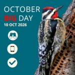 Big Day, Bigger Impact: Get Ready for October Big Day 2026