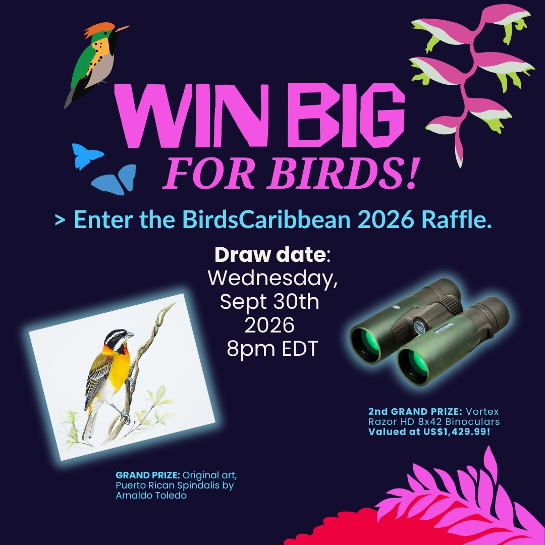 BirdsCaribbean 2026 Raffle