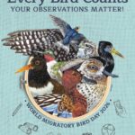 WMBD 2026: Celebrating the People Powering Bird Conservation