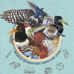 WMBD 2026: Celebrating the People Powering Bird Conservation