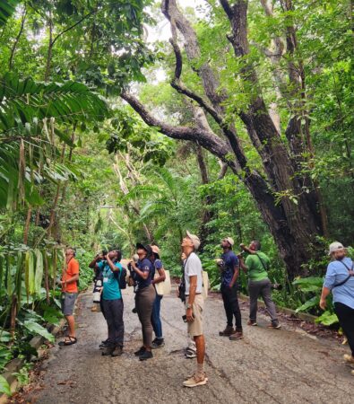 Photo of a group of birdwatchers looking at birds on a paved trail.