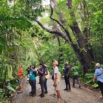 Making Birding More Accessible: Welcoming the Deaf and Hard-of-Hearing to Birding