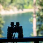 The Dark Half of Birdwatching
